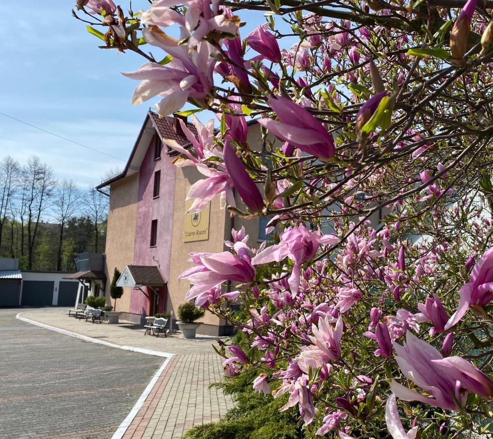 Obiekt "Czarny Rycerz" Aparthotel Jastrzebie Zdroj Exterior photo